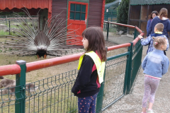 Obiskali smo Sikalu zoo